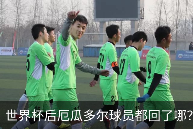 世界杯后厄瓜多尔球员都回了哪？输给墨西哥后他们各归其主