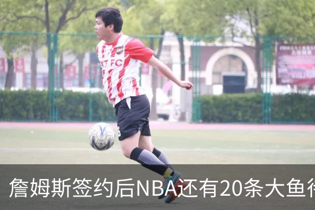 詹姆斯签约后NBA还有20条大鱼待捞：哈登杜伦领衔，超市刚开门