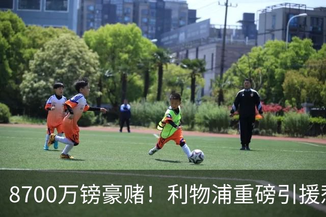 8700万镑豪赌！利物浦重磅引援惹两极争吵，这笔买卖究竟藏多大隐患